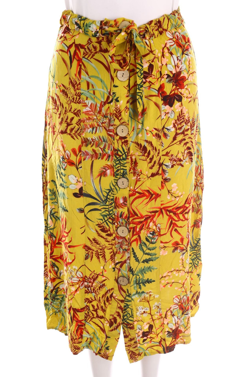 Chicorée - Midirock - S