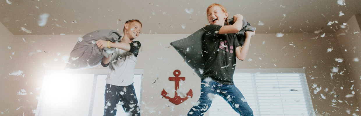 Alles was man über Daunen wissen muss Kissenschlacht