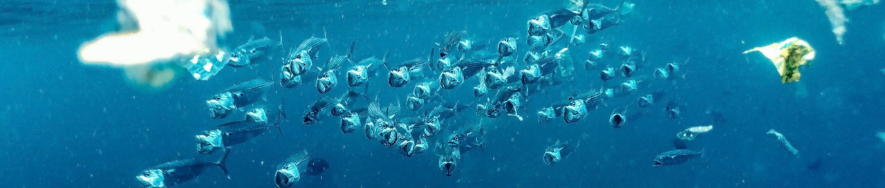 ReSales Blogartikel Mikroplastik Unterwasseraufnahme mit Plastik und Fischen im Meer 1880x400