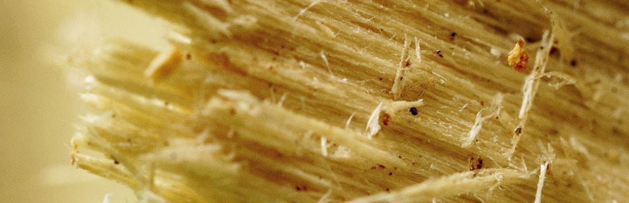 Holzspäne