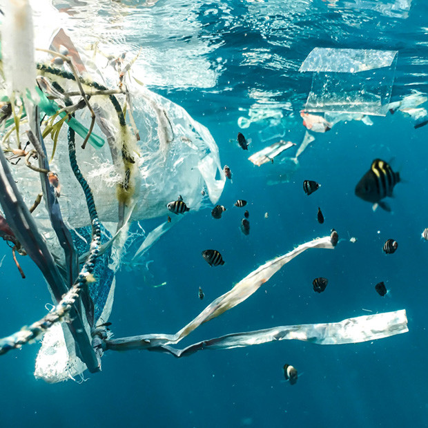 Die Problematik mit Mikroplastik Plastikmüll im Meer