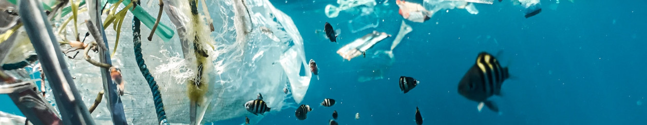 Plastikmüll schwimmt im Meer