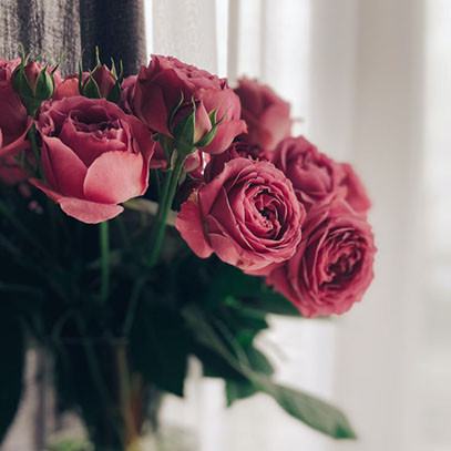 Strauß Rosen